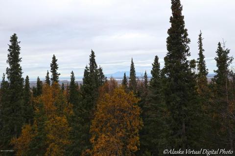 9681 Middlerock Rd, Anchorage, AK 99507 photo 70