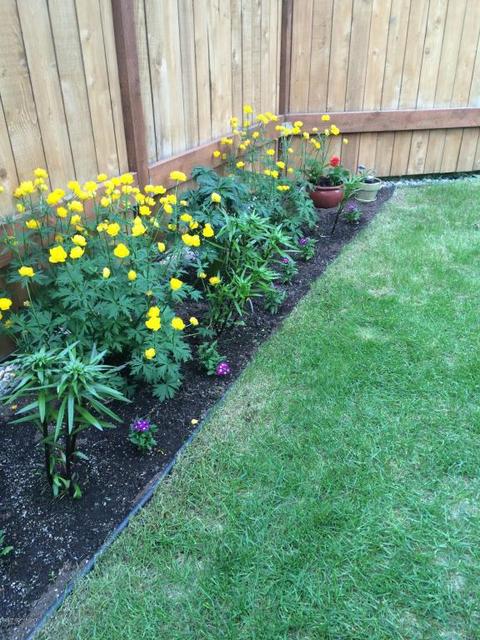 5521 Sapphire Loop # 4A, Anchorage, AK 99504 photo 32