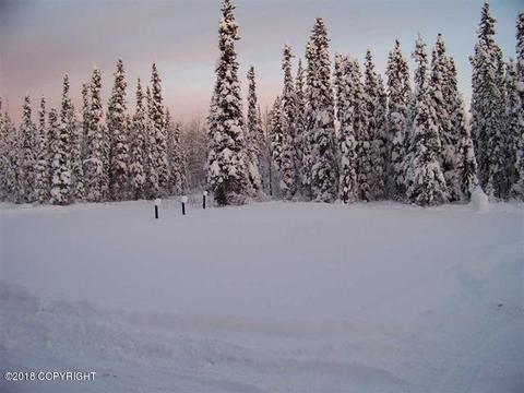 3418 Dundee Loop, North Pole, AK 99705 photo 22