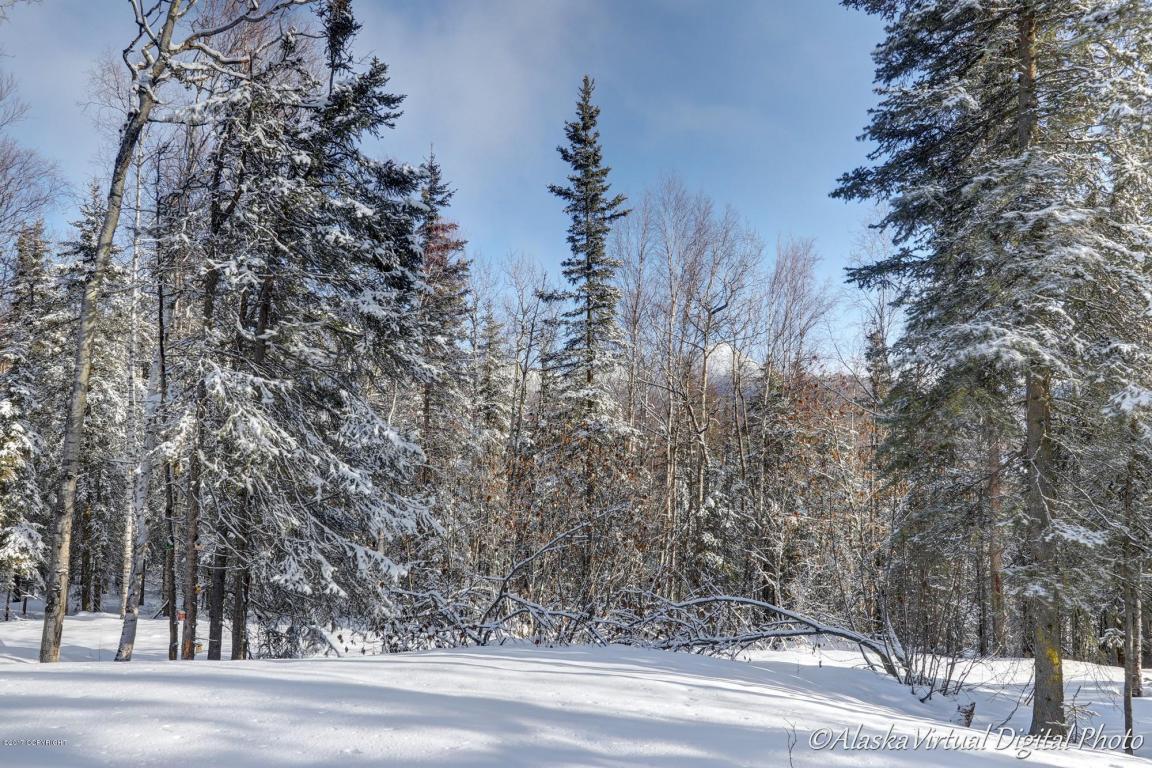 13101 Ezi View Cir, Eagle River, AK 99577 photo 4