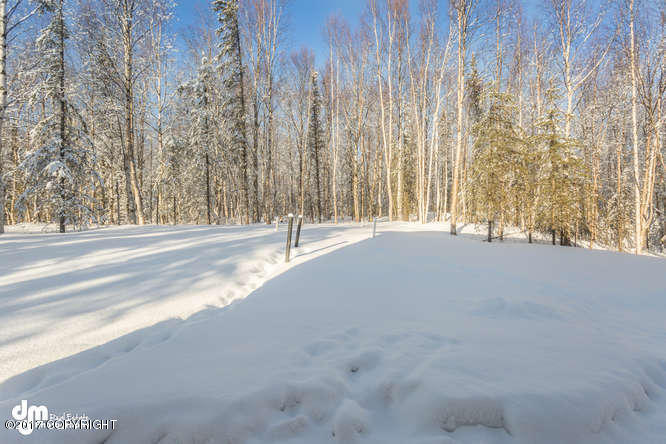 4511 E Kilo Dr, Wasilla, AK 99654 photo 37