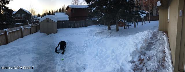 9906 Annette Cir, Eagle River, AK 99577 photo 17
