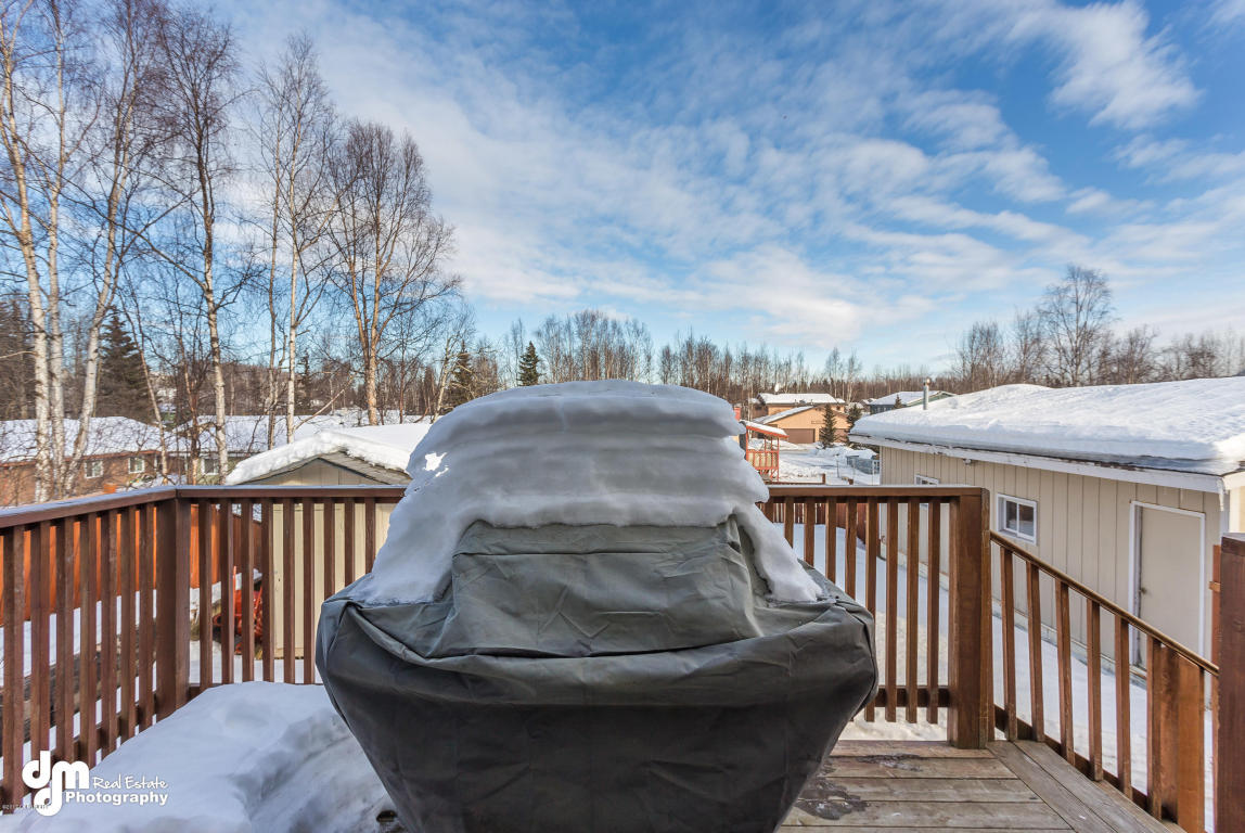 16917 Eleonora St, Eagle River, AK 99577 photo 33