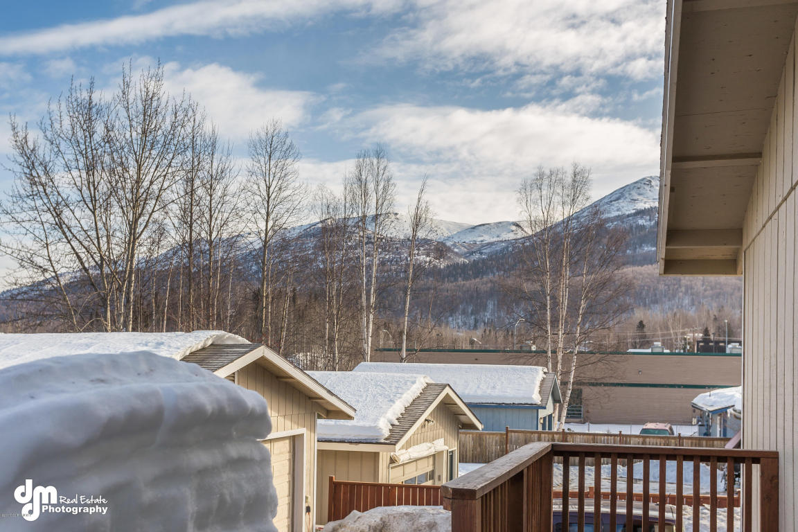 16917 Eleonora St, Eagle River, AK 99577 photo 35