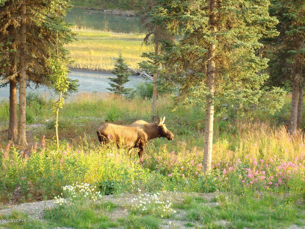 20347 Riverside Dr # 14A, Eagle River, AK 99577 photo 34