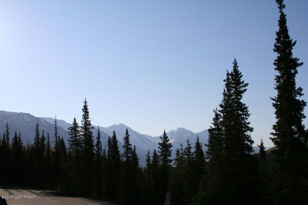 20347 Riverside Dr # 14A, Eagle River, AK 99577 photo 41
