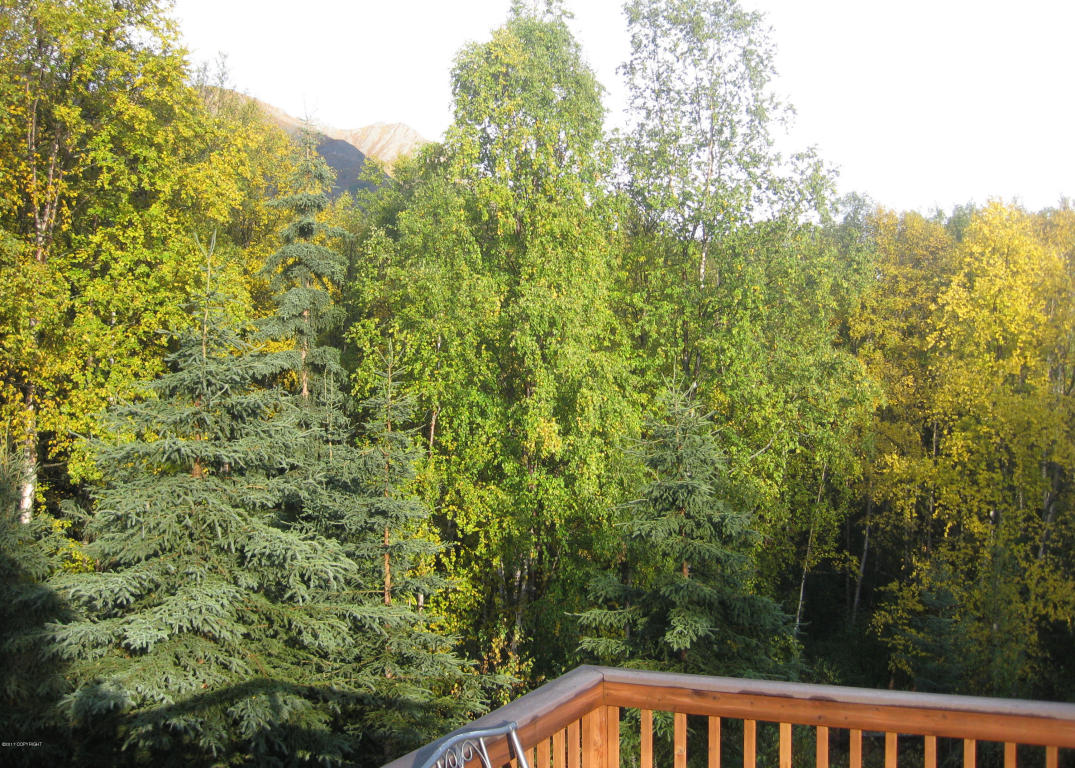 20719 Raven Dr, Eagle River, AK 99577 photo 31
