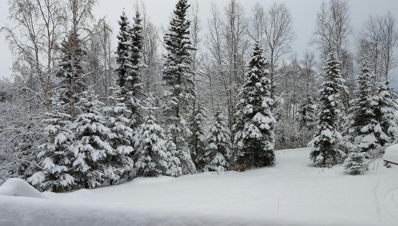 20719 Raven Dr, Eagle River, AK 99577 photo 34