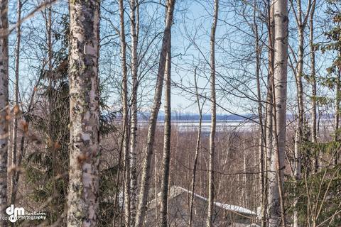 22449 Deer Park Dr, Chugiak, AK 99567 photo 31