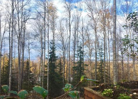 22449 Deer Park Dr, Chugiak, AK 99567 photo 1