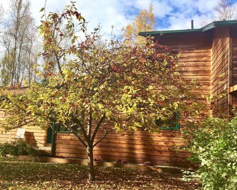 22449 Deer Park Dr, Chugiak, AK 99567 photo 2
