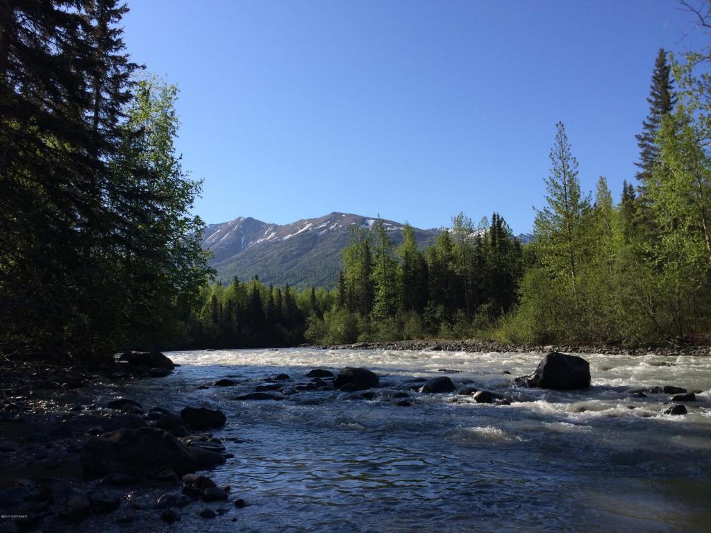 16662 River Heights Loop # 38, Eagle River, AK 99577 photo 24