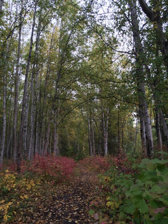 16662 River Heights Loop # 38, Eagle River, AK 99577 photo 27