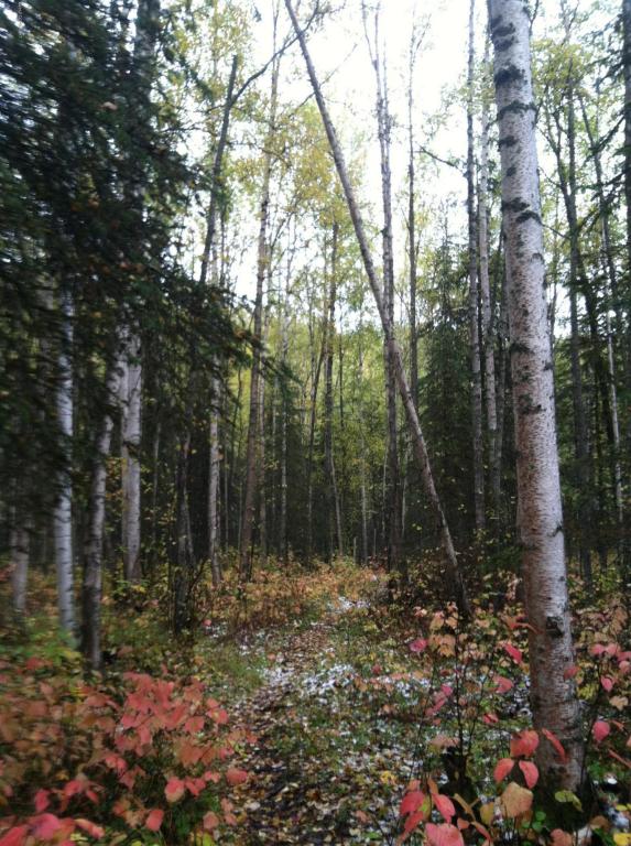 16662 River Heights Loop # 38, Eagle River, AK 99577 photo 25