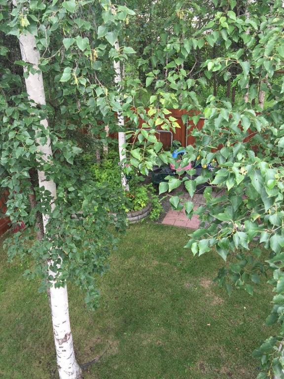 11949 Regency Dr, Eagle River, AK 99577 photo 44