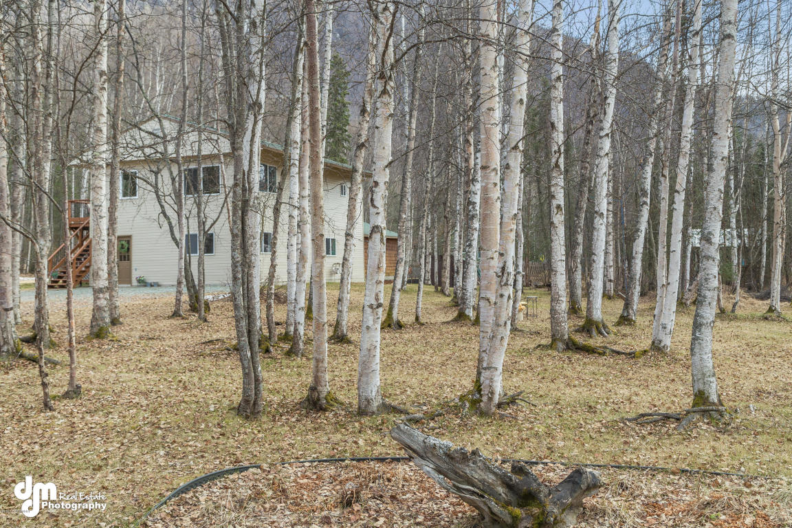 22221 Anthem Pl, Chugiak, AK 99567 photo 22