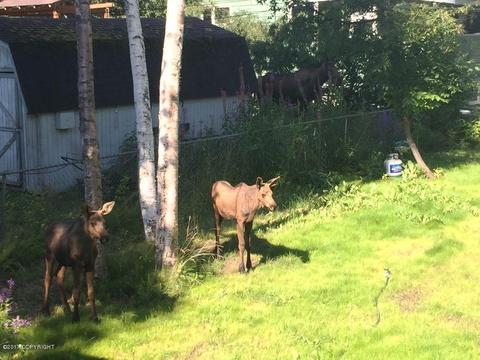 935 Lancaster Dr, Anchorage, AK 99503 photo 32
