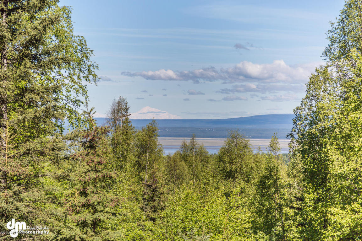 23110 Sumac Dr, Chugiak, AK 99567 photo 3