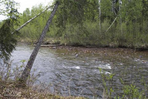 16421 E Hidden Hills Rd, Willow, AK 99688 photo 44