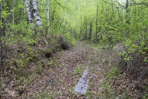 16421 E Hidden Hills Rd, Willow, AK 99688 photo 41
