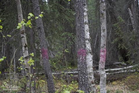 16421 E Hidden Hills Rd, Willow, AK 99688 photo 43