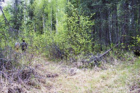 16421 E Hidden Hills Rd, Willow, AK 99688 photo 42