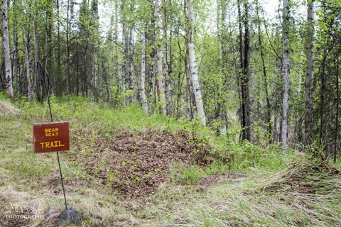 16421 E Hidden Hills Rd, Willow, AK 99688 photo 56