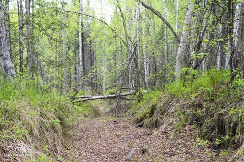 16421 E Hidden Hills Rd, Willow, AK 99688 photo 40
