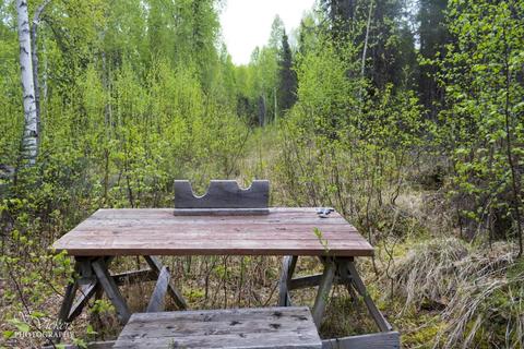 16421 E Hidden Hills Rd, Willow, AK 99688 photo 53