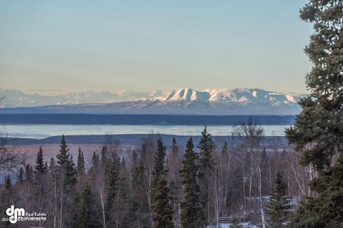 19125 Mount Magnificent Cir, Eagle River, AK 99577 photo 35