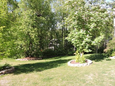 21304 Polly Cir, Chugiak, AK 99567 photo 23