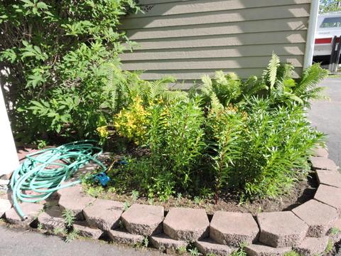 21304 Polly Cir, Chugiak, AK 99567 photo 20