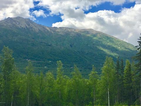 20479 Birch Crest Ln, Eagle River, AK 99577 photo 30