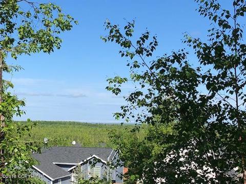 16627 Baird Cir, Eagle River, AK 99577 photo 25