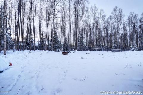 22502 Sambar Loop, Chugiak, AK 99567 photo 35