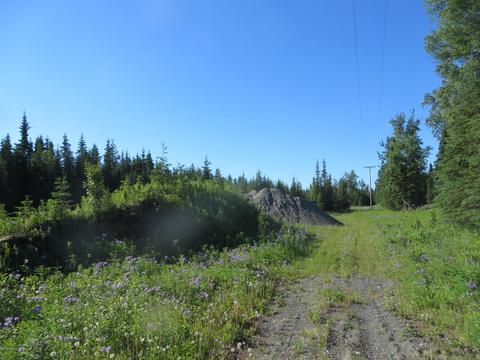 17485 Gilbert St, Ninilchik, AK 99639 photo 57