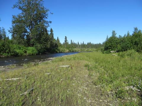 17485 Gilbert St, Ninilchik, AK 99639 photo 51