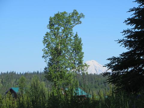 17485 Gilbert St, Ninilchik, AK 99639 photo 56