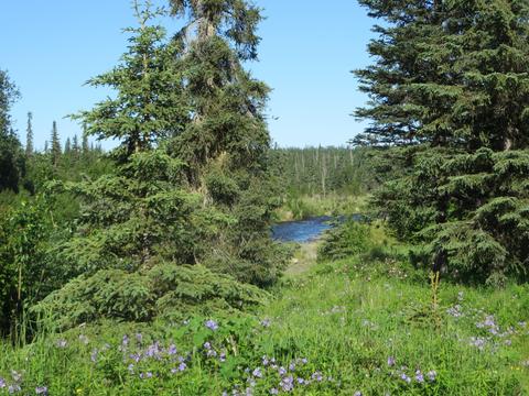 17485 Gilbert St, Ninilchik, AK 99639 photo 62