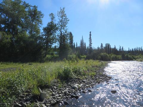 17485 Gilbert St, Ninilchik, AK 99639 photo 10