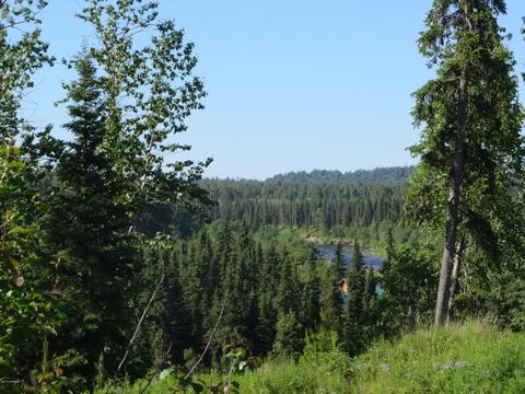 17485 Gilbert St, Ninilchik, AK 99639 photo 59