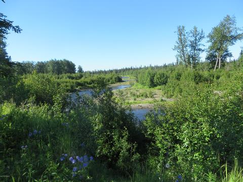 17485 Gilbert St, Ninilchik, AK 99639 photo 61