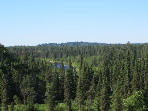 17485 Gilbert St, Ninilchik, AK 99639 photo 60