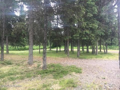 17485 Gilbert St, Ninilchik, AK 99639 photo 45