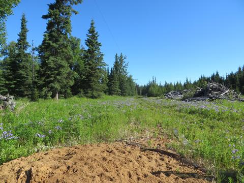17485 Gilbert St, Ninilchik, AK 99639 photo 58