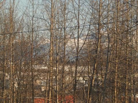 140 Eagle St # 206, Anchorage, AK 99501 photo 4
