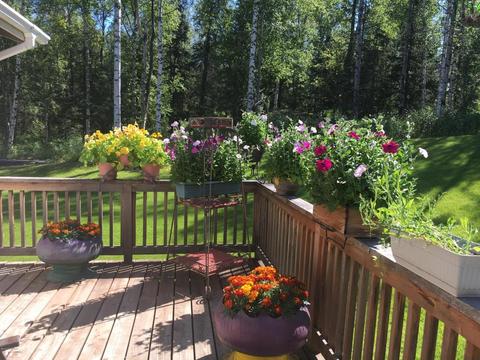 3204 E Lakeview Rd, Wasilla, AK 99654 photo 28
