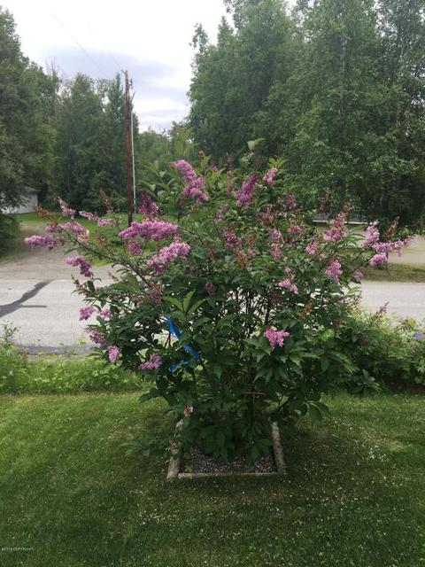 3204 E Lakeview Rd, Wasilla, AK 99654 photo 23