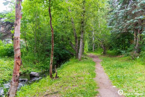 3618 Reflection Dr, Anchorage, AK 99504 photo 38