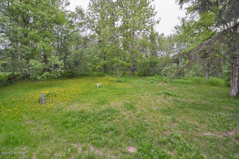 13101 Hillside Dr, Anchorage, AK 99516 photo 50